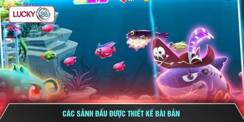 Các sảnh đấu được thiết kế bài bản