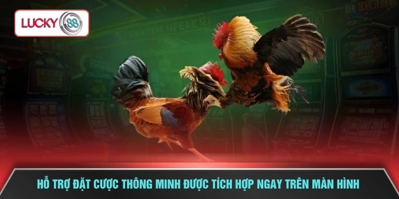 Hỗ trợ đặt cược thông minh được tích hợp ngay trên màn hình