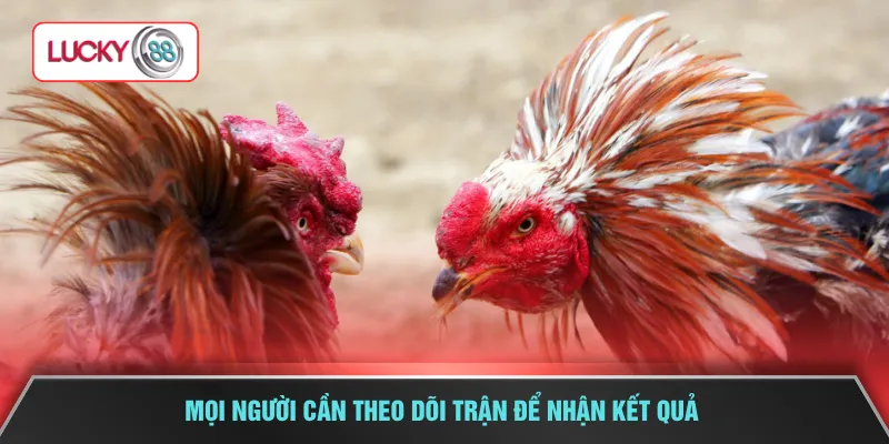 Mọi người cần theo dõi trận để nhận kết quả