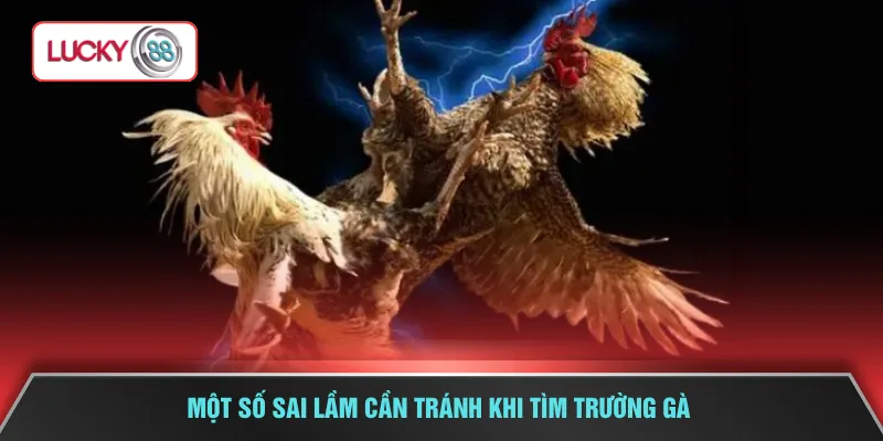 Một số sai lầm cần tránh khi tìm trường gà