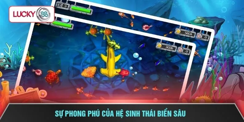 Sự phong phú của hệ sinh thái biển sâu 