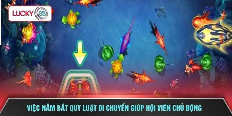 Việc nắm bắt quy luật di chuyển giúp hội viên chủ động 